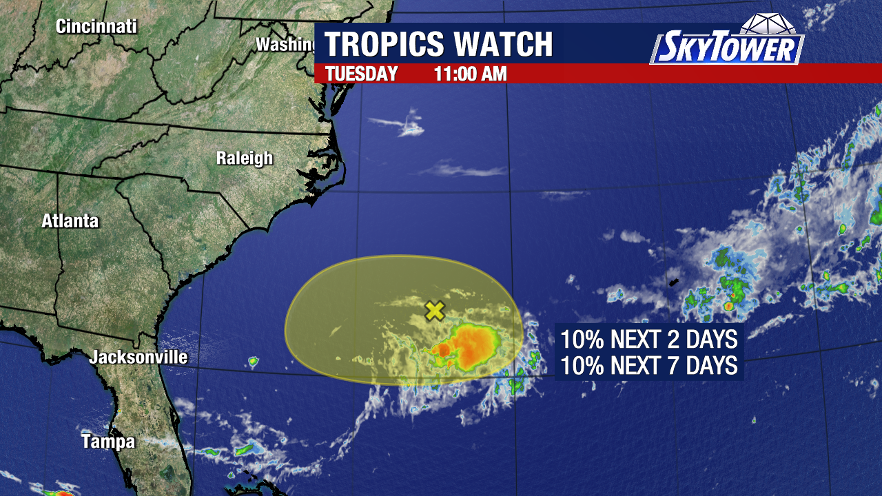 Tropical development unlikely off SE Coast